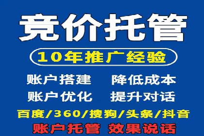 竞价推广代运营：成功案例解析